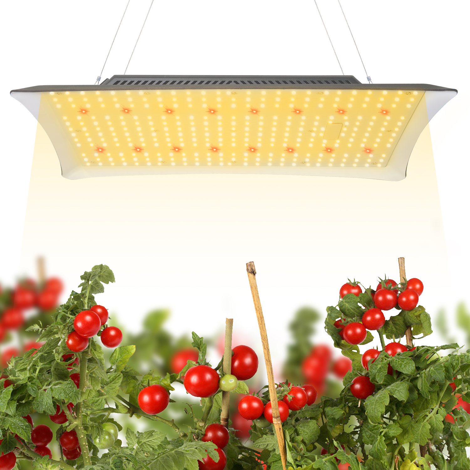 艾博特YD系列1000詳情頁